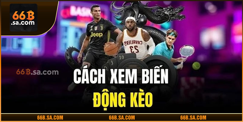 Cách xem biến động kèo
