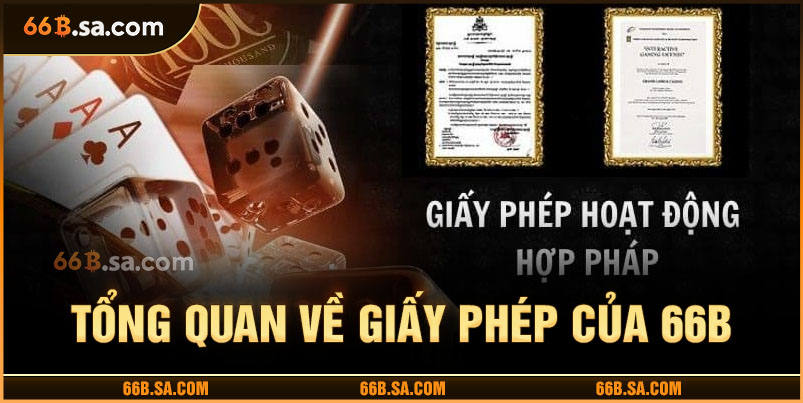 Giấy phép hoạt động 66B - bảo chứng uy tín và pháp lý