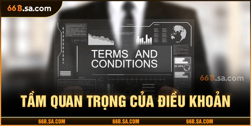 ý nghĩa điều khoản điều kiện trong hệ thống 66B